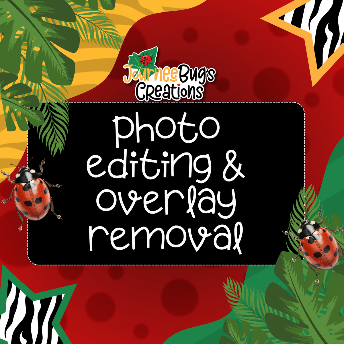 Photo Editing & Overlay Removal
