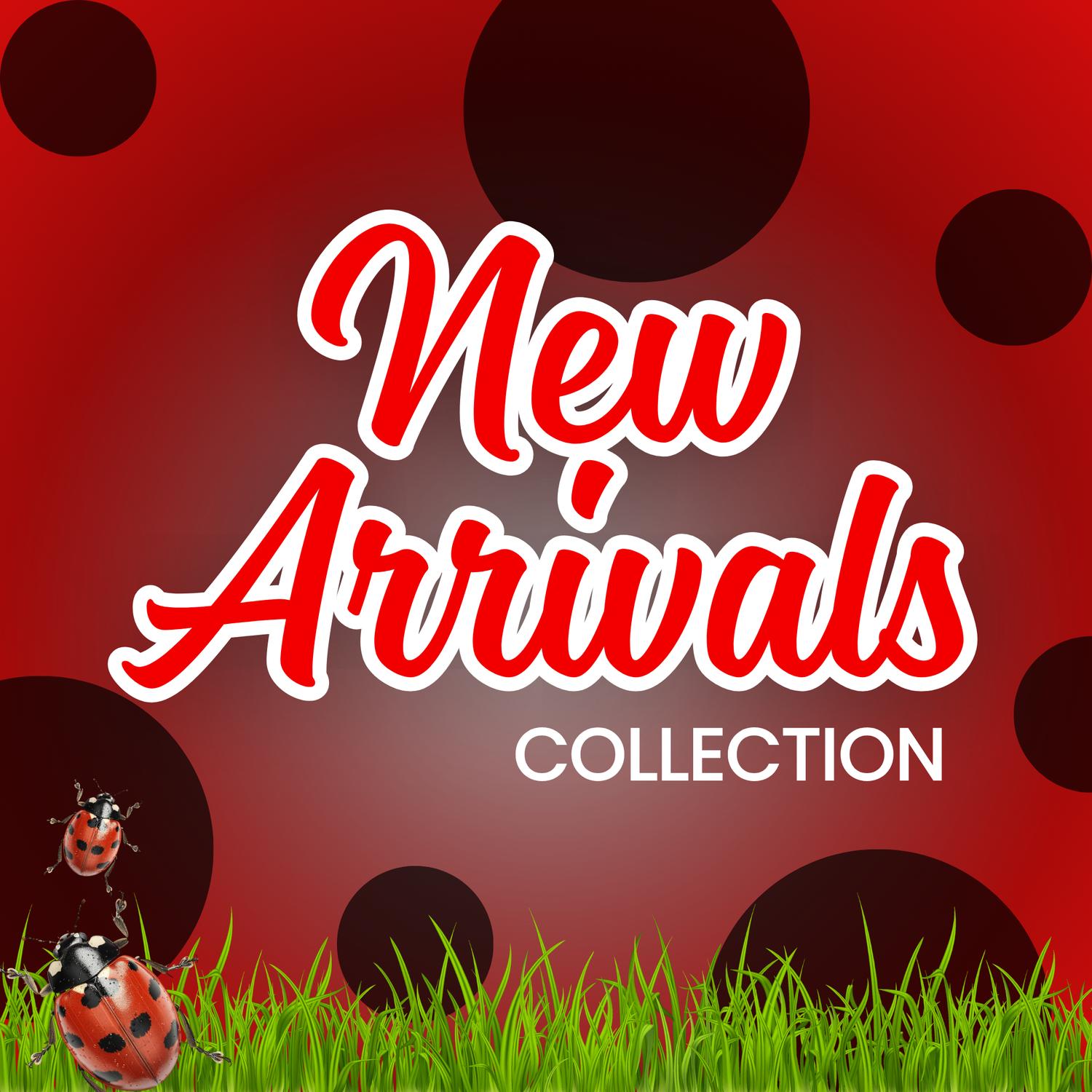New Arrivals