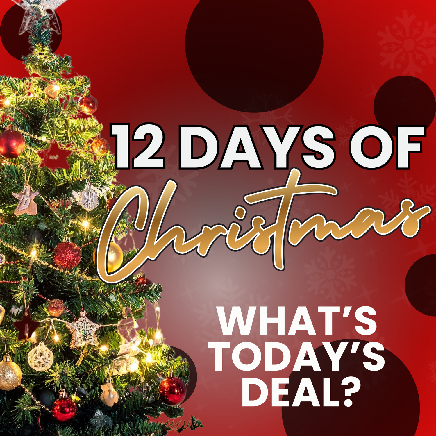 12 Days of Christmas