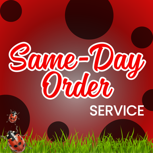 Same Day Service (Same - Business Day)