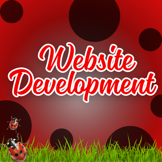 Shopify Website Setup